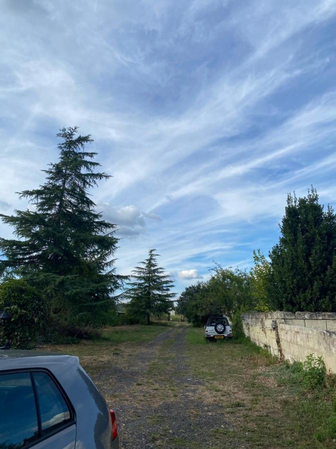 Chouzé-sur-Loire Gites De La Levee المظهر الخارجي الصورة